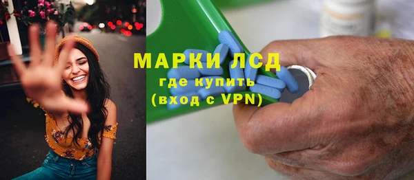 индика Балабаново