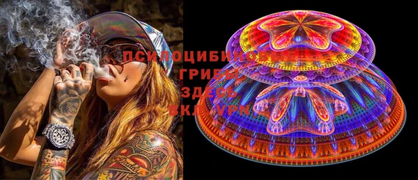 индика Баксан
