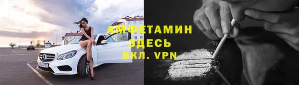 индика Баксан