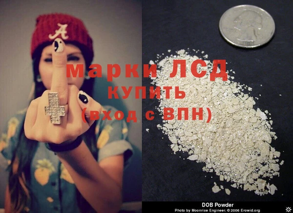индика Баксан