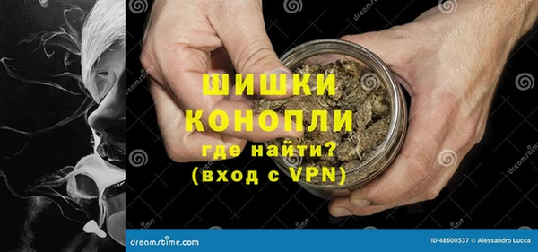 индика Баксан