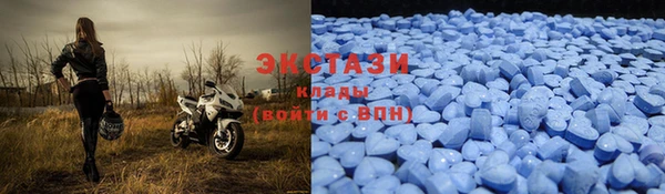 индика Балабаново