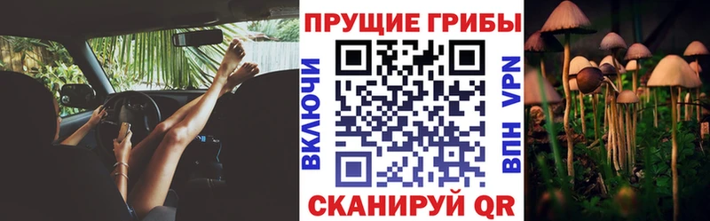 Купить где  Бавлы  Псилоцибиновые грибы прущие грибы 