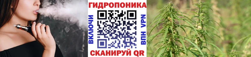 Купить  Бавлы  Бошки марихуана MAZAR 